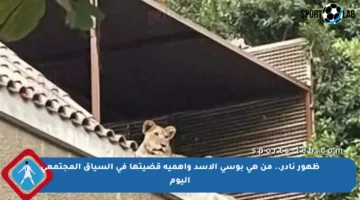 ظهور نادر.. من هي بوسي الأسد وأهمية قضيتها في السياق المجتمعي اليوم